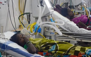 Thuốc triệt sản ở Ấn Độ chứa độc chất diệt chuột